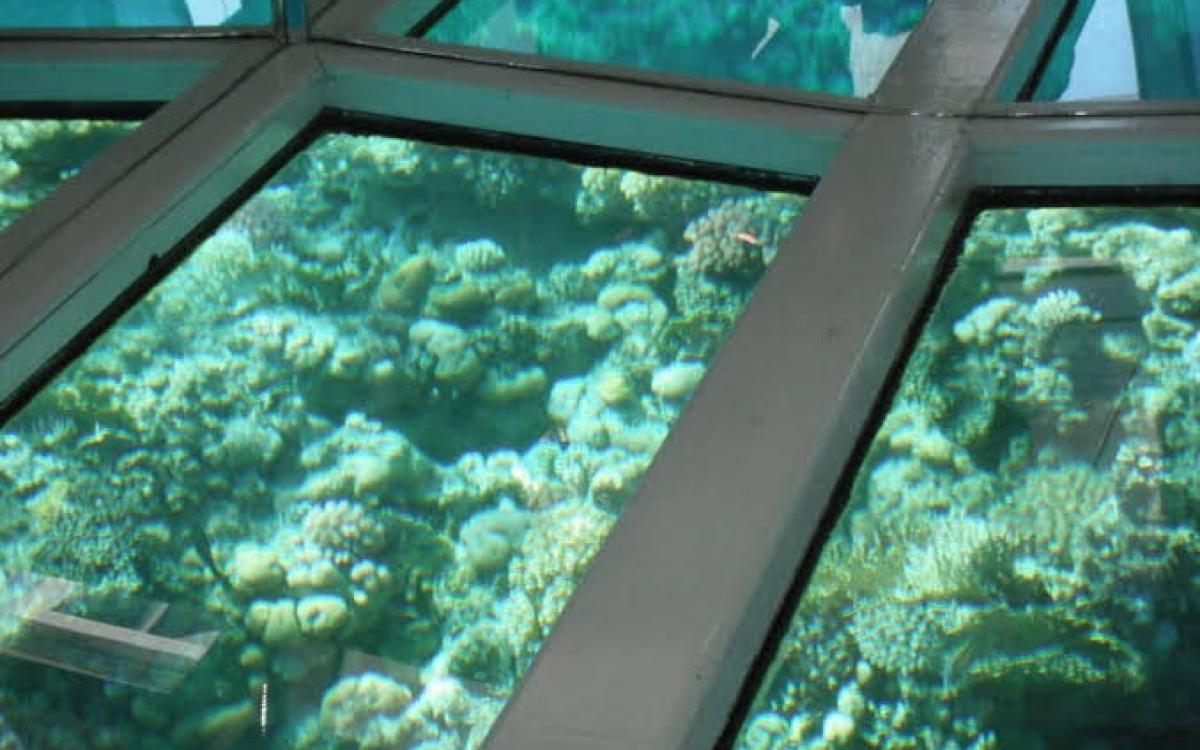 Glass bottom boat excursion in Sharm El Sheikh