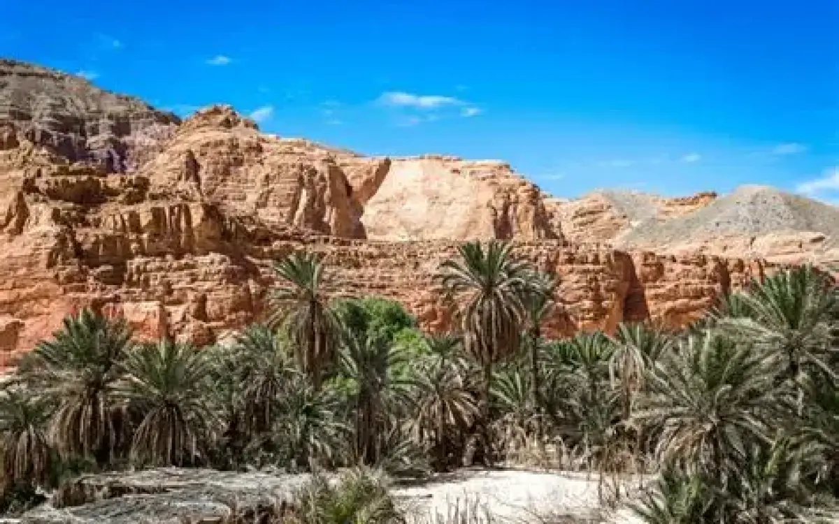 Vip Dahab adventure- Canyon, Oasis, Jeep Safari & Three Pools