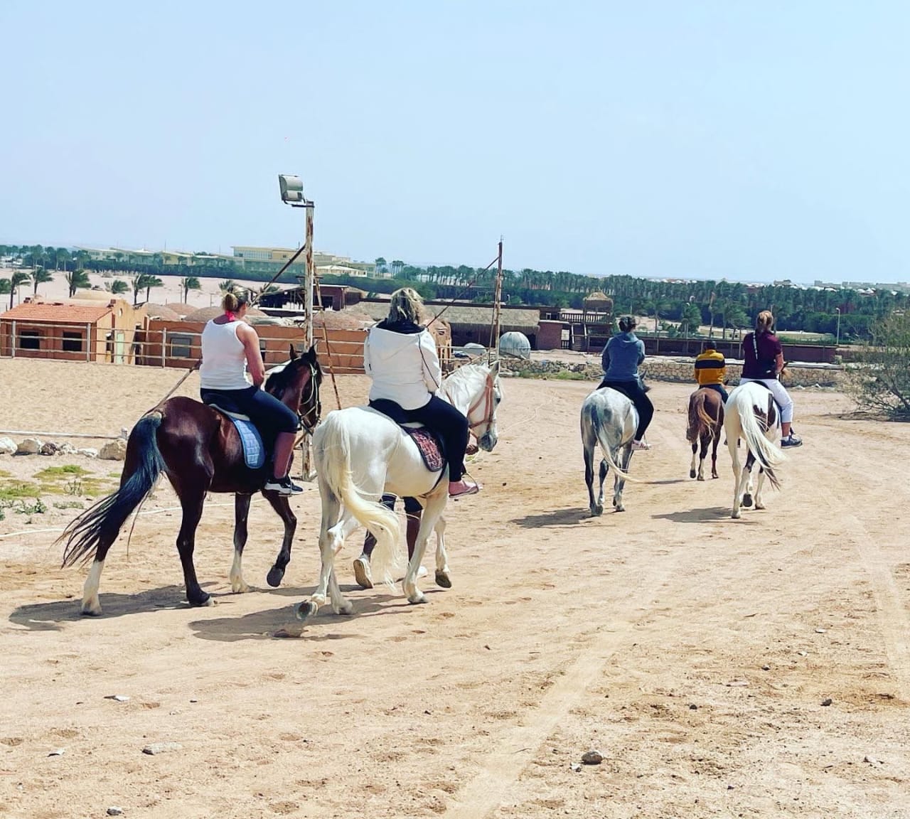2Beach Horse Riding in Sharm El Sheikh