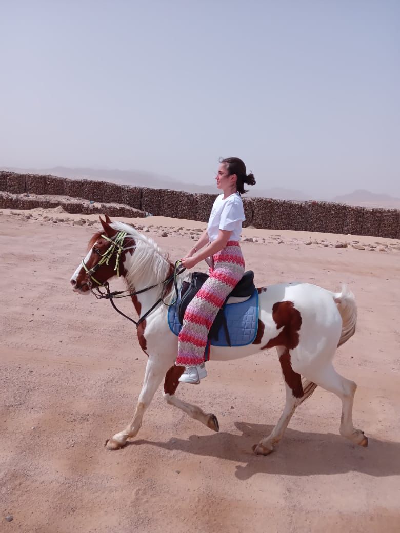 5Beach Horse Riding in Sharm El Sheikh
