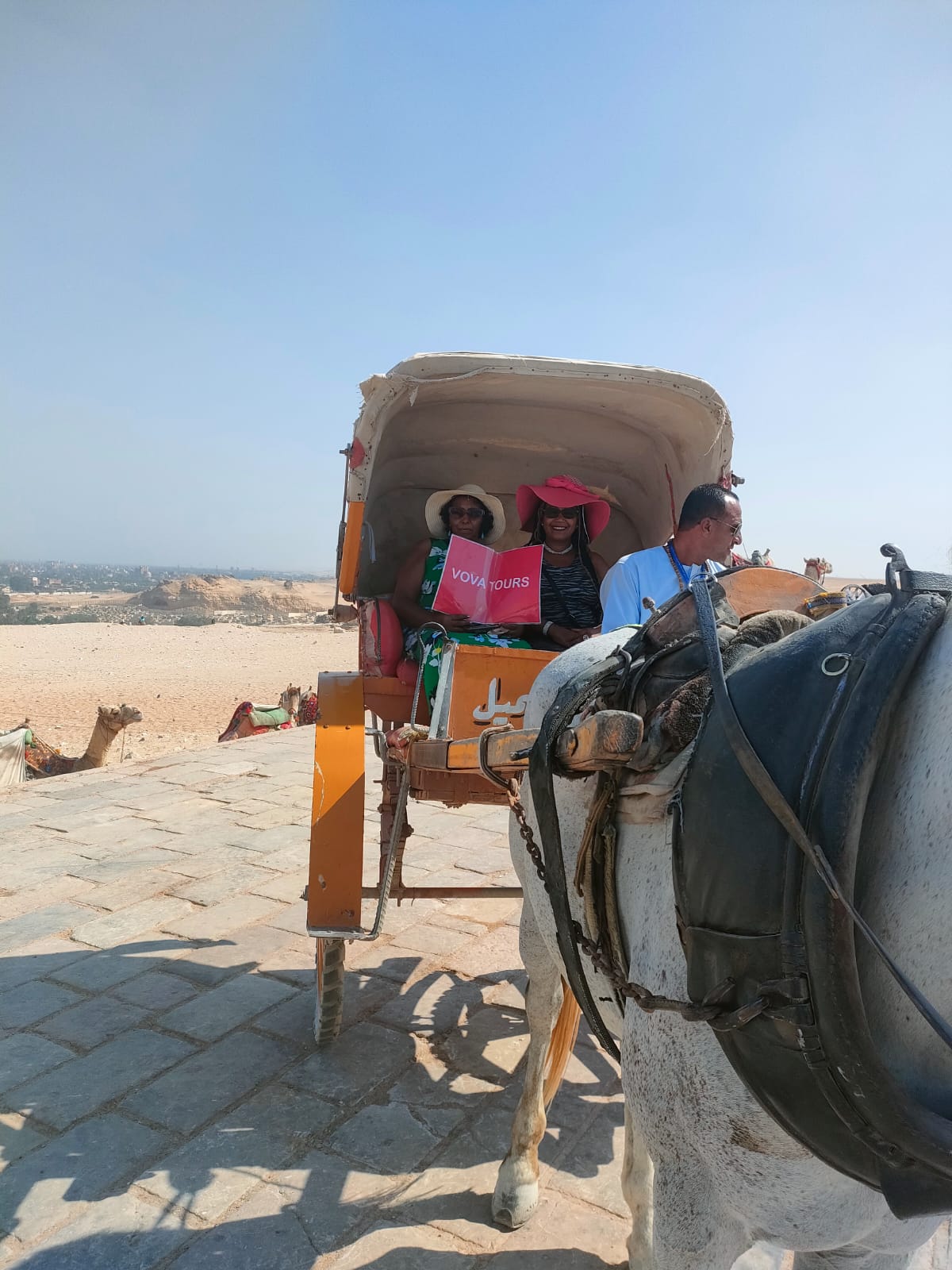3Cairo Day Trip from Sharm El Sheikh by Plane | Visit Pyramids & Museum
