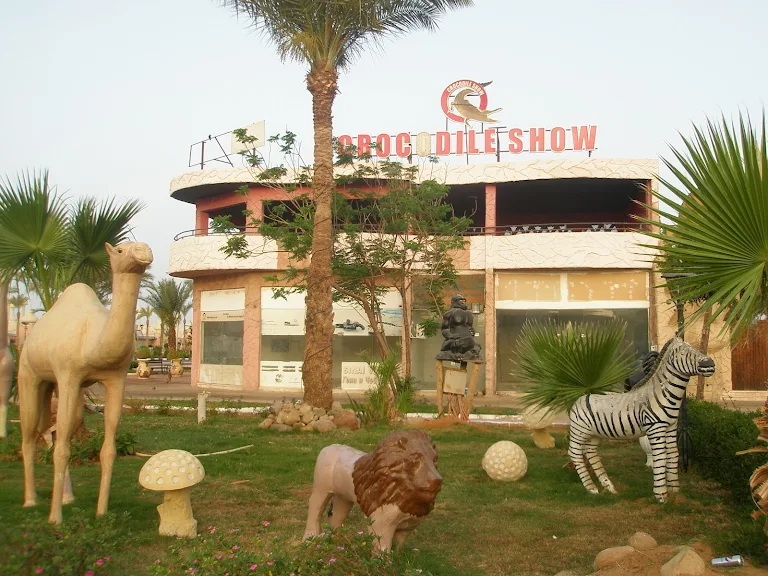 1Pokaz krokodyli i węży w Szarm el-Szejk