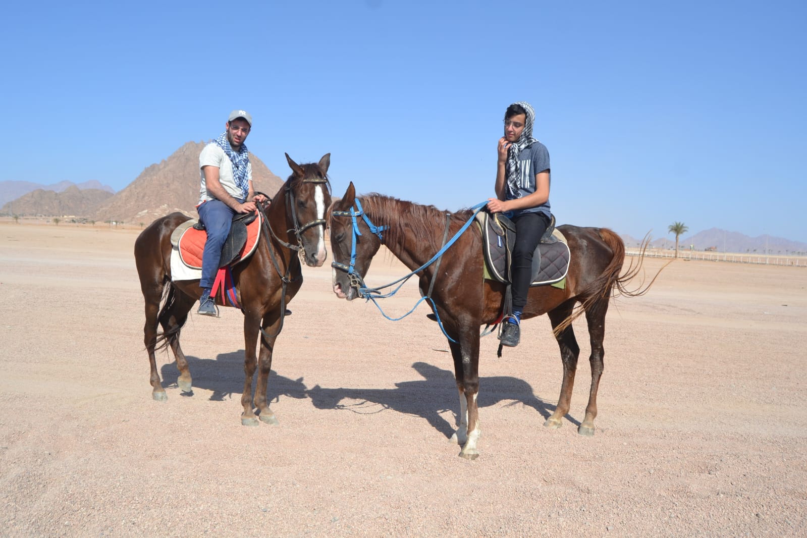 2Horse Riding in Sharm El Sheikh Desert