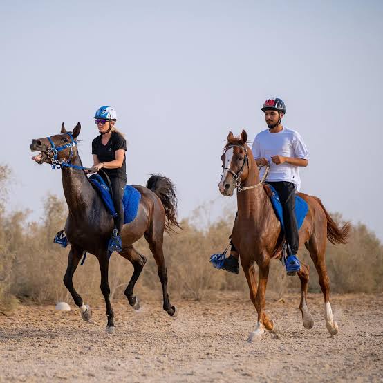 3Horse Riding in Sharm El Sheikh Desert