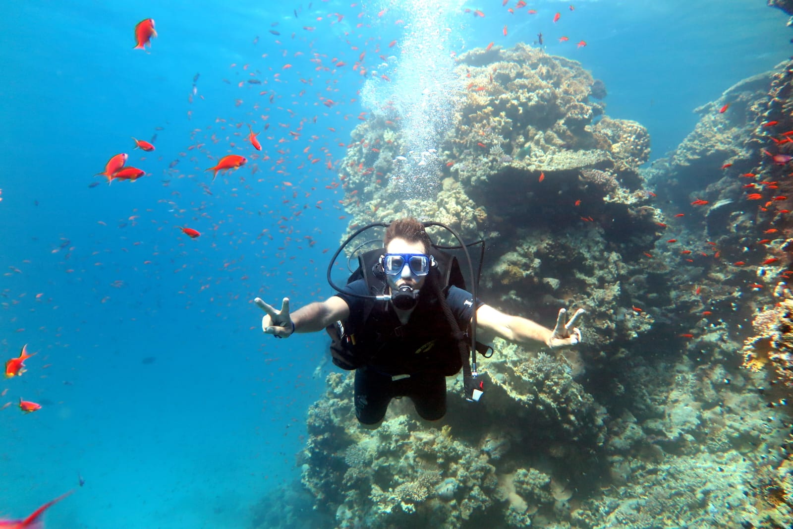 1Immersioni a Sharm El Sheikh- Corsi di immersione per tutti i livelli