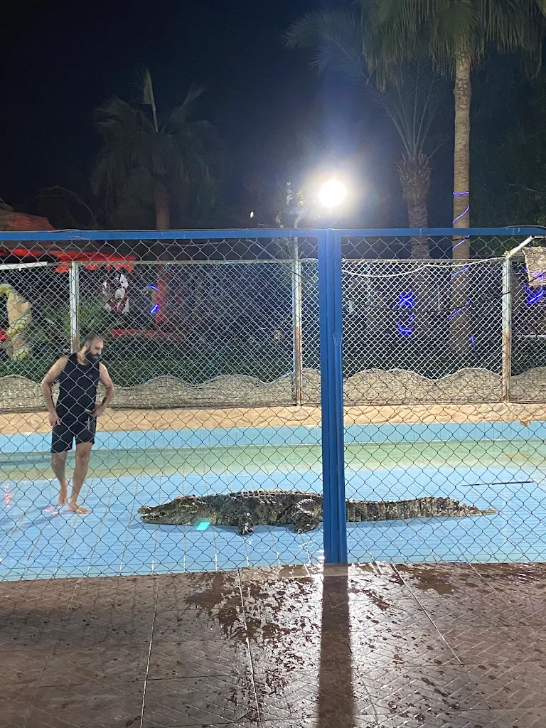 2Pokaz krokodyli i węży w Szarm el-Szejk