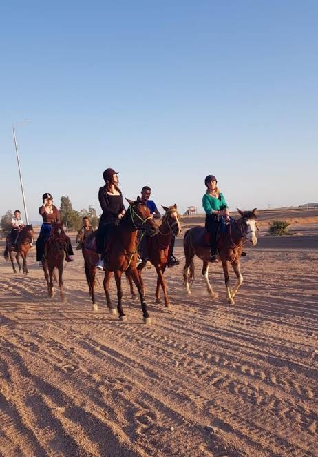 4Horse Riding in Sharm El Sheikh Desert