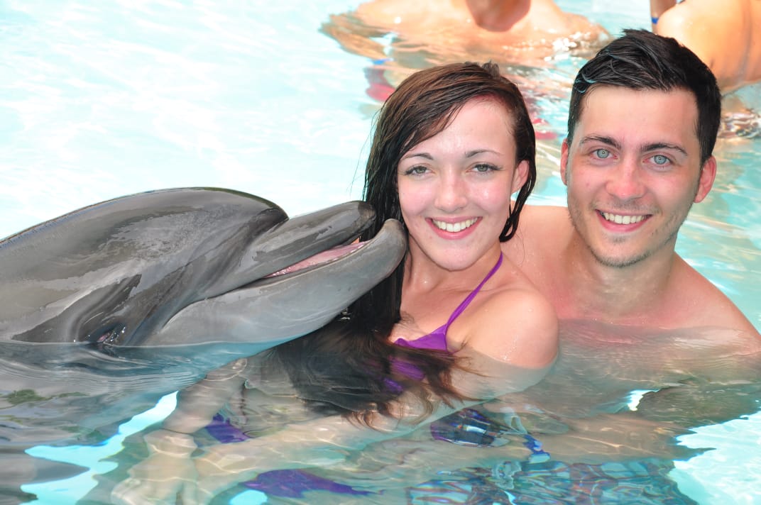 2Pływanie z delfinami w Szarm el-Szejk