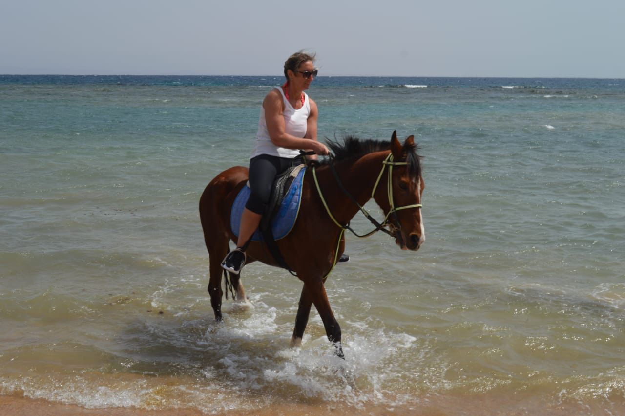 15Beach Horse Riding in Sharm El Sheikh