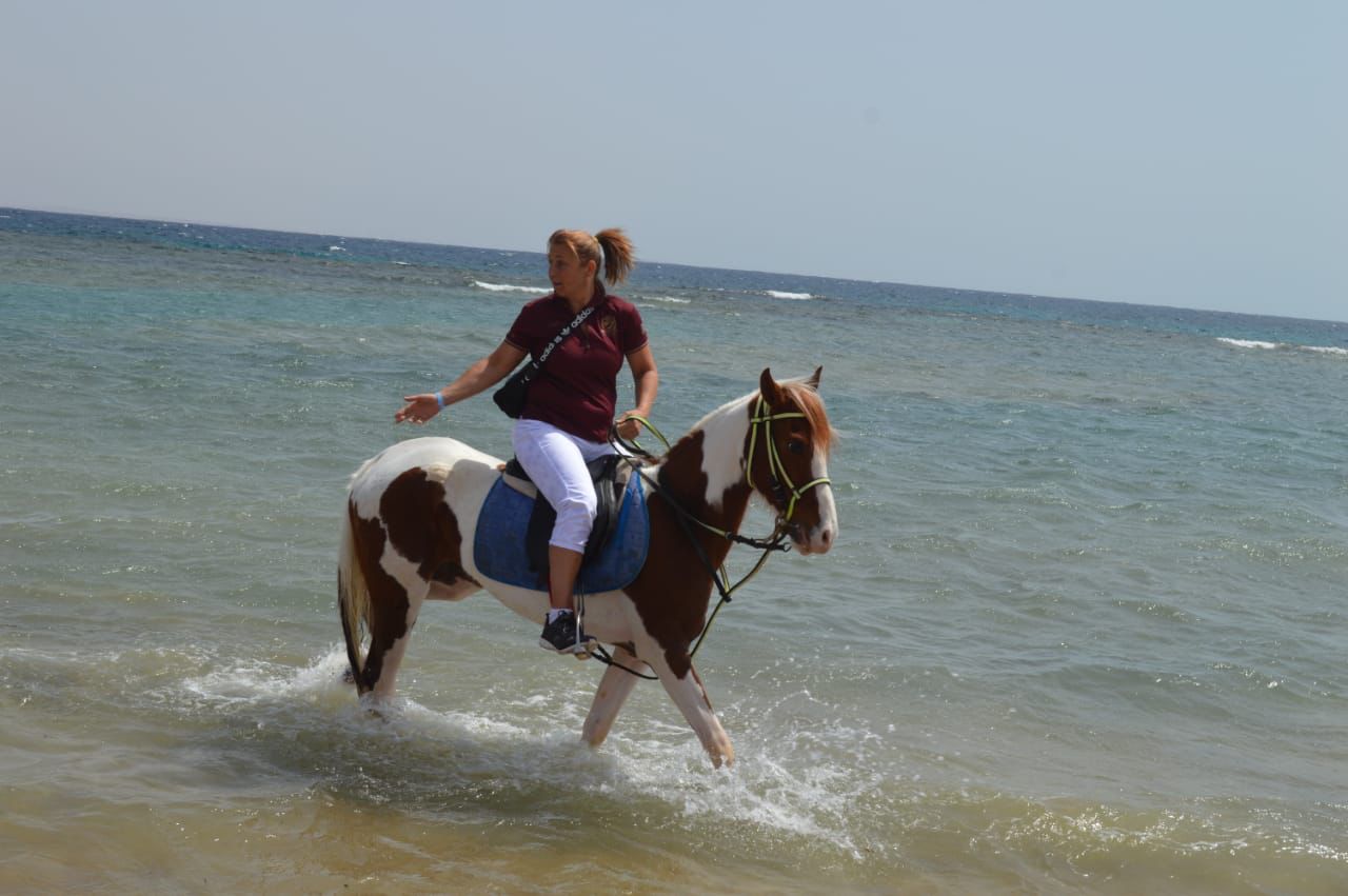16Beach Horse Riding in Sharm El Sheikh