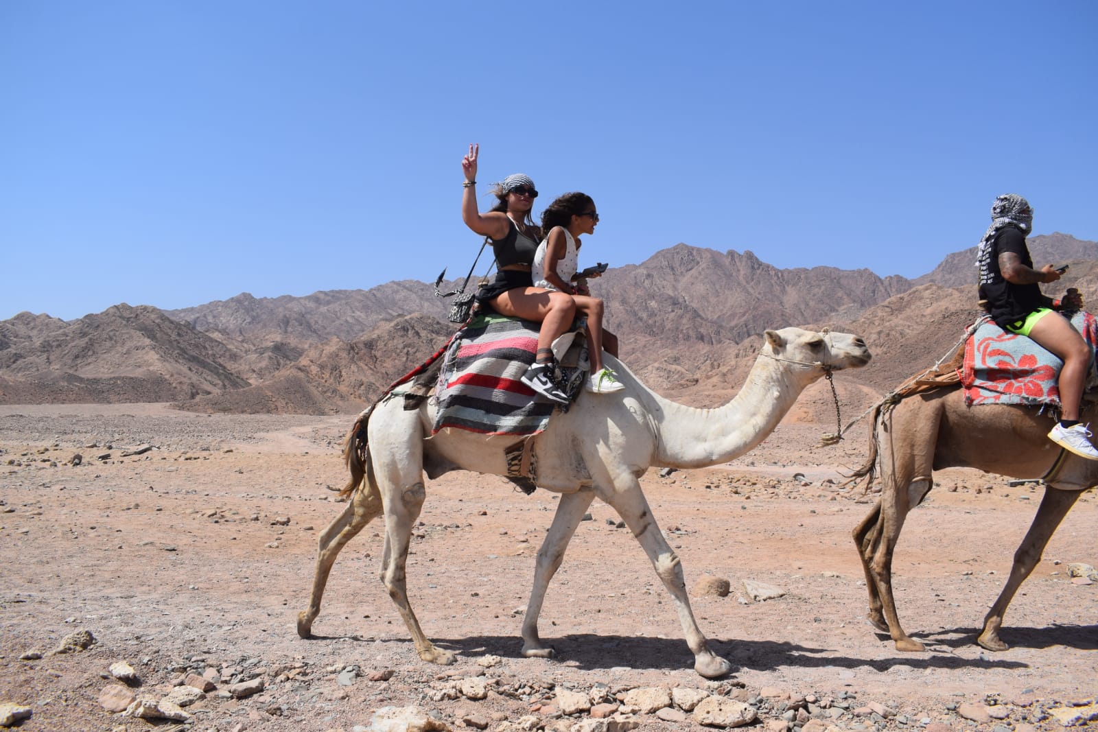12Quad Biking Sharm EL Sheikh - Cammello - Mini Egitto (Piramidi - Sfinge)