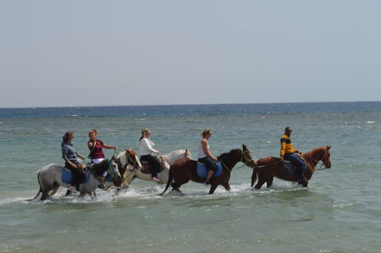 17Beach Horse Riding in Sharm El Sheikh