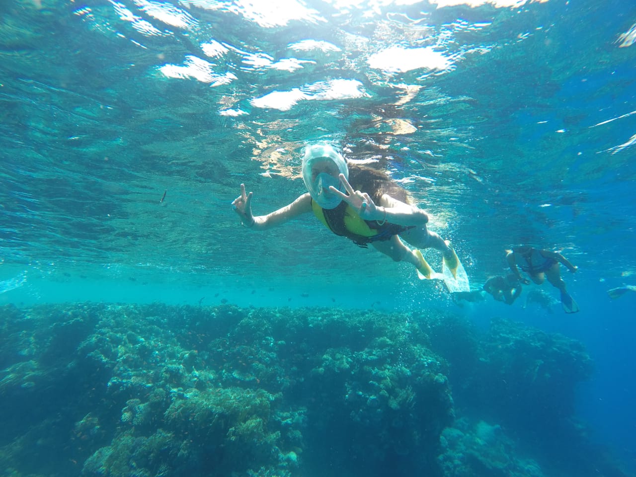 17Półdniowa wycieczka snorkelingowa do Ras Mohammed autobusem
