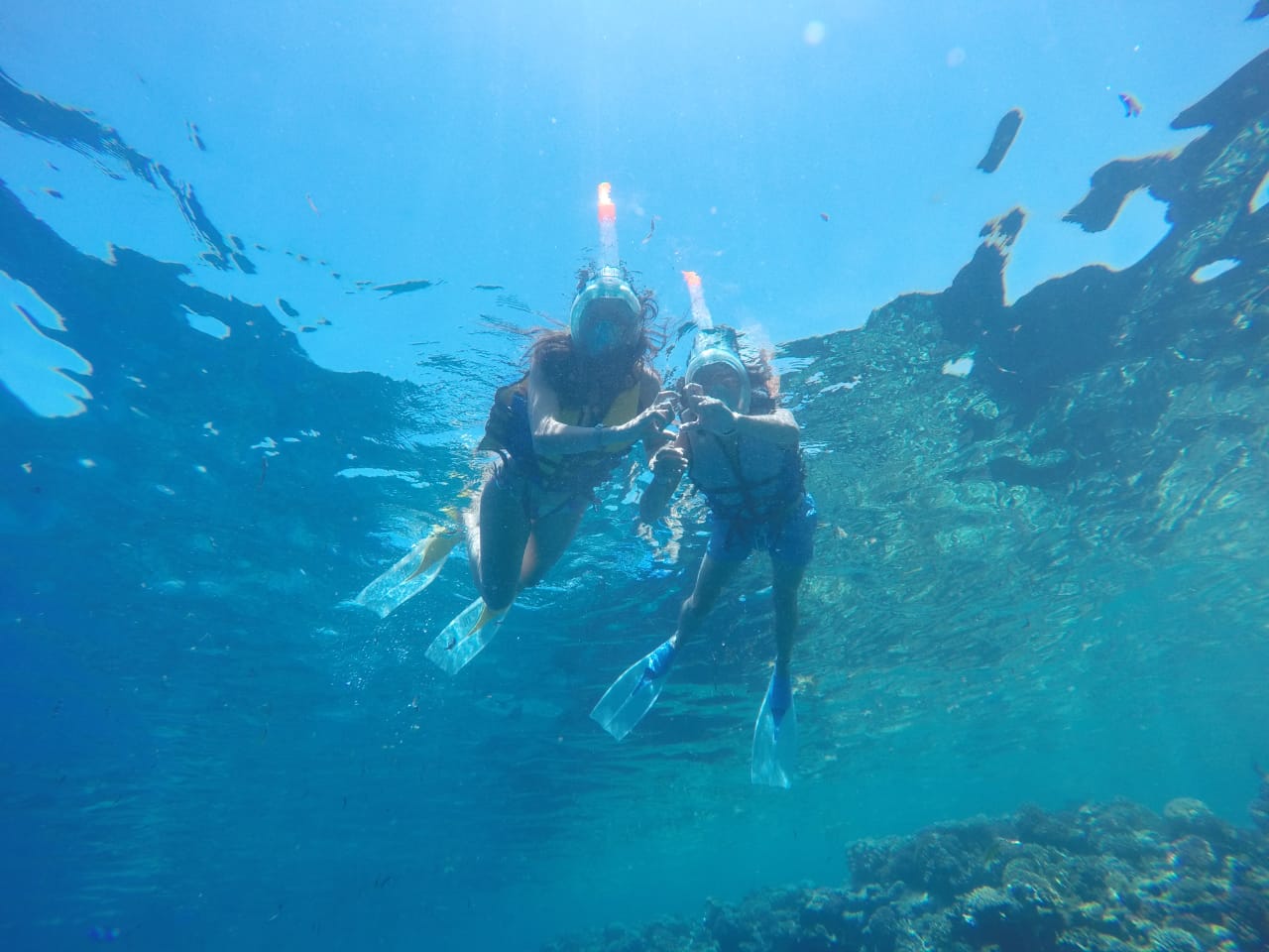 19Półdniowa wycieczka snorkelingowa do Ras Mohammed autobusem