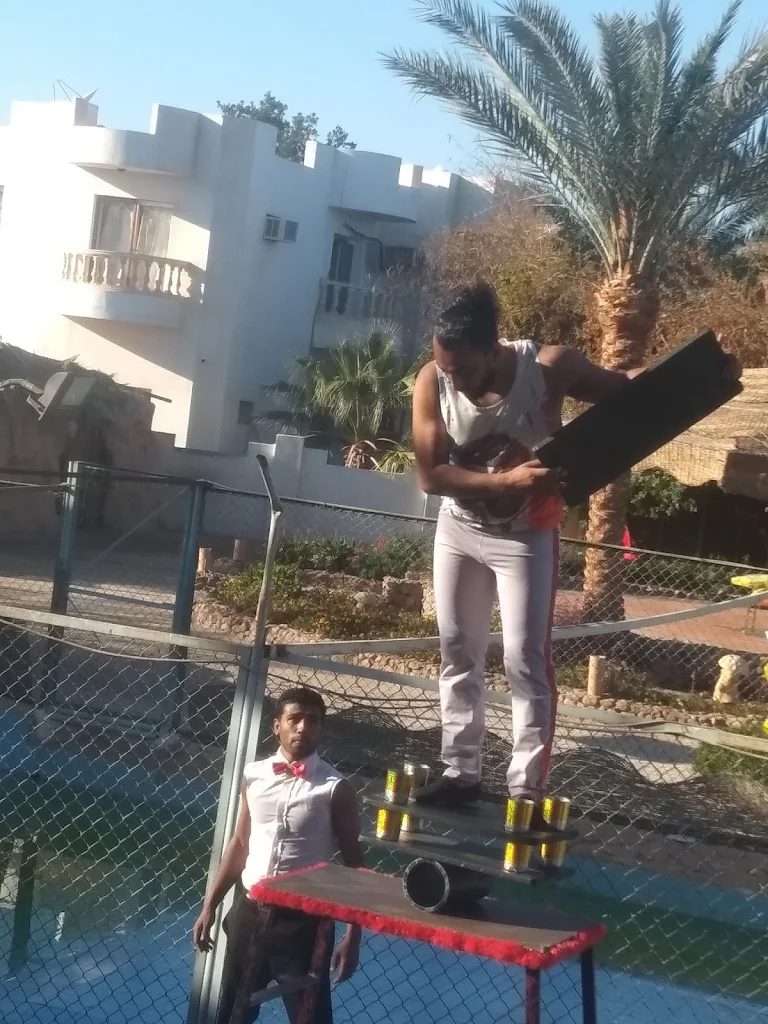 6Pokaz krokodyli i węży w Szarm el-Szejk