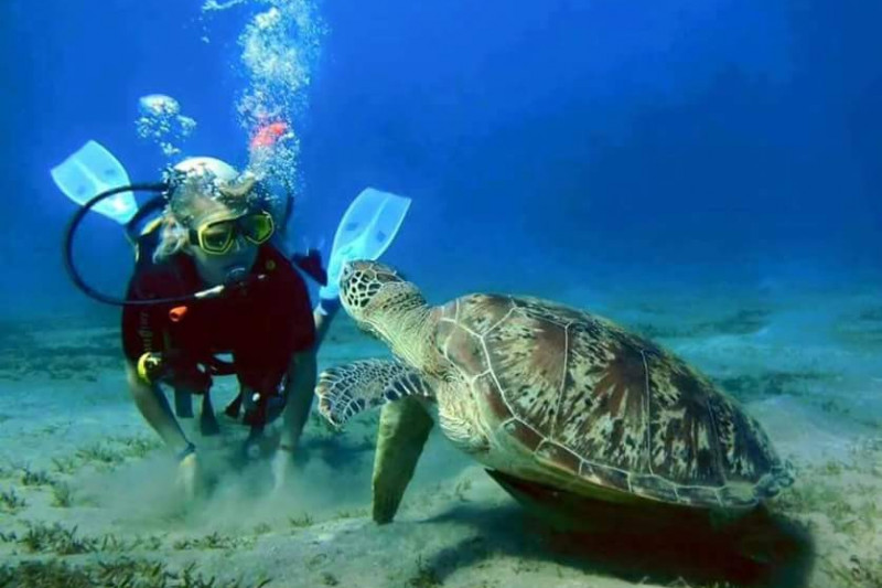 3Immersioni a Sharm El Sheikh- Corsi di immersione per tutti i livelli