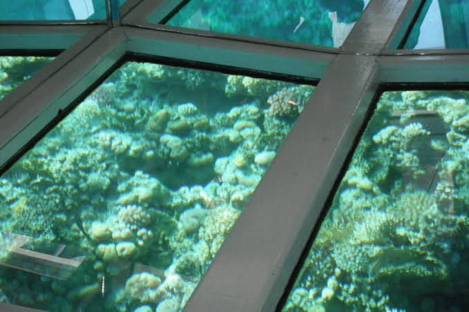 2Glass bottom boat excursion in Sharm El Sheikh