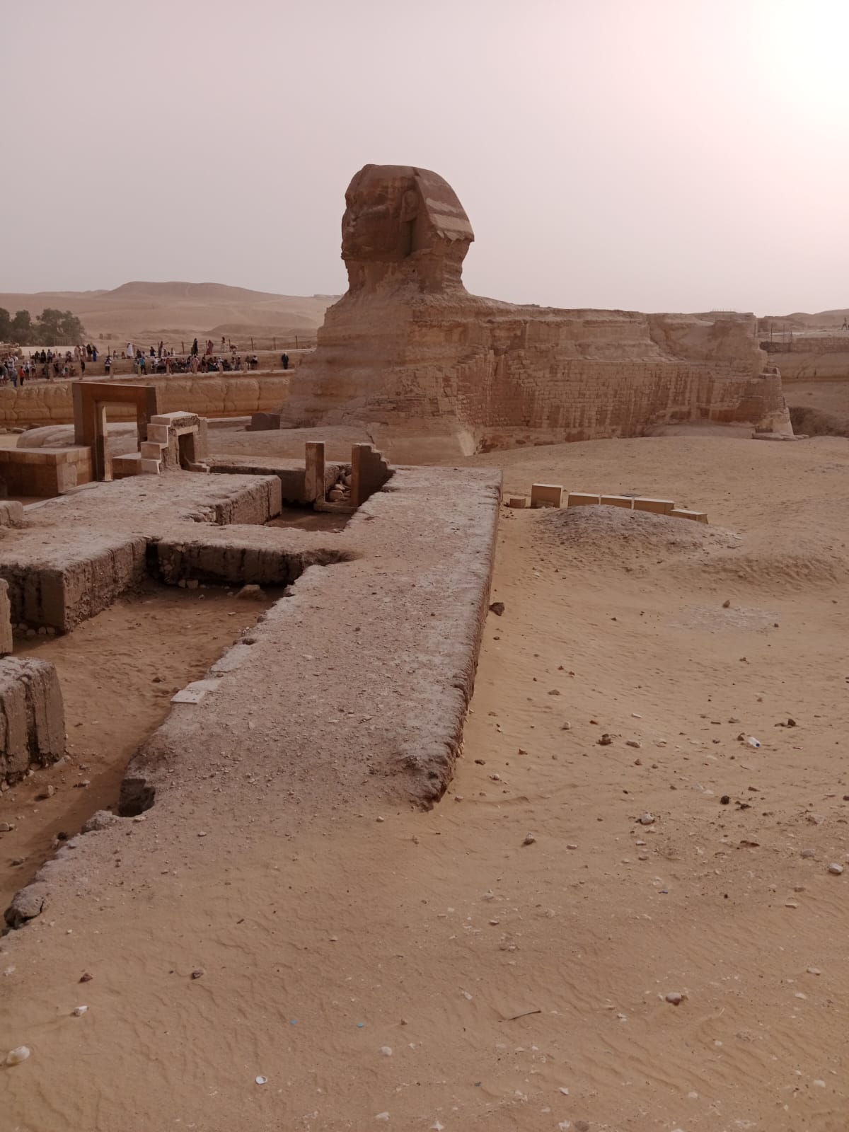 3Quad Biking Sharm EL Sheikh - Cammello - Mini Egitto (Piramidi - Sfinge)