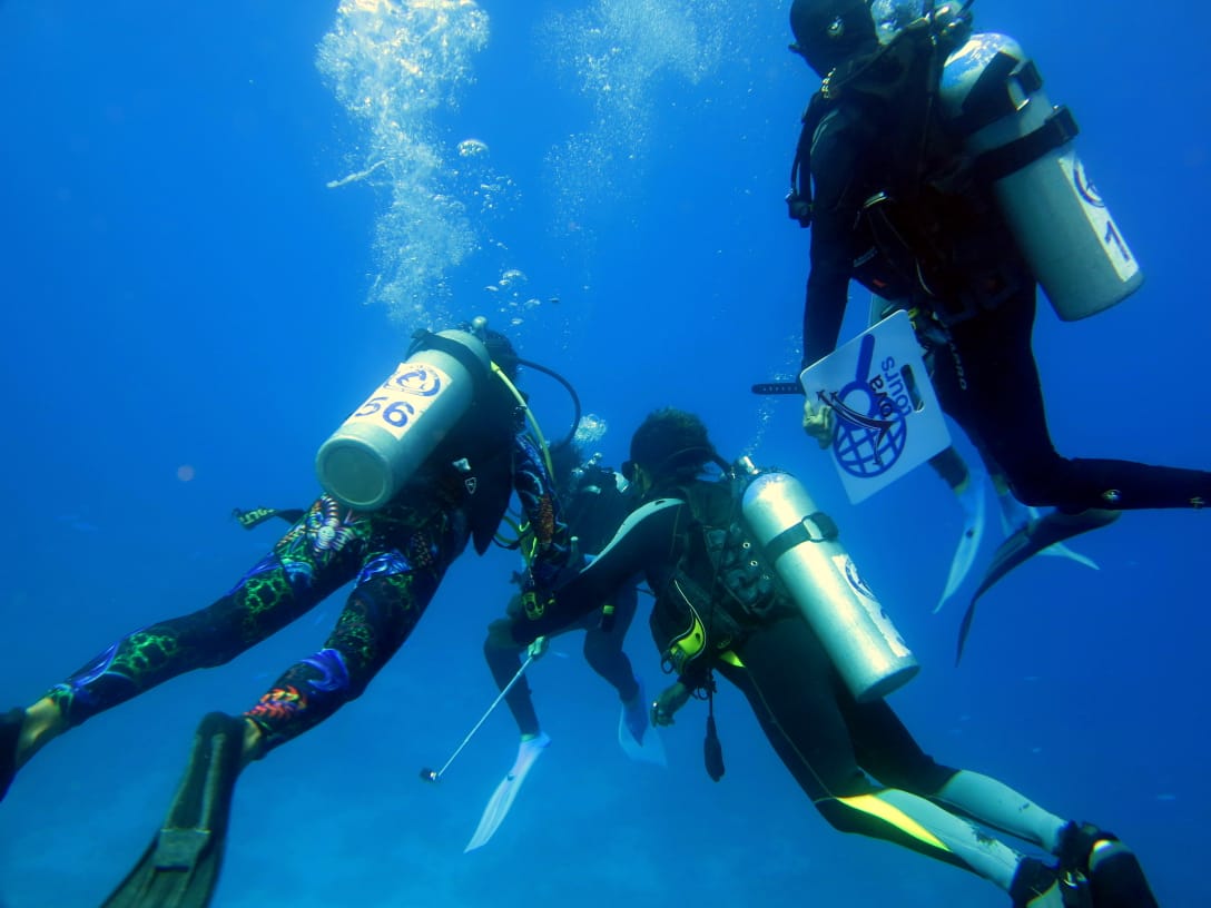 4Immersioni a Sharm El Sheikh- Corsi di immersione per tutti i livelli