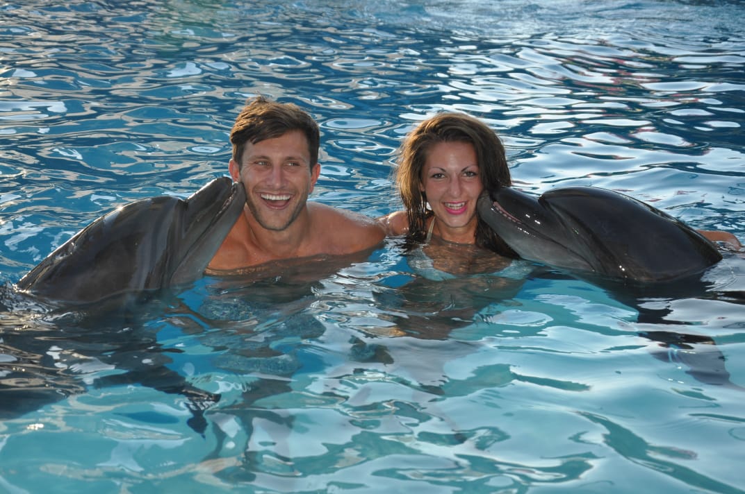 4Pływanie z delfinami w Szarm el-Szejk