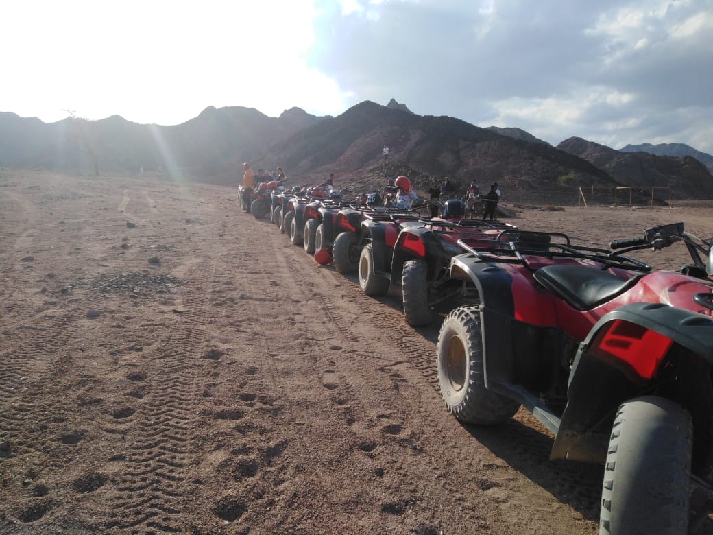 5Мега Сафари и Водные Виды Спорта – Шарм-эль-Шейх 5*1