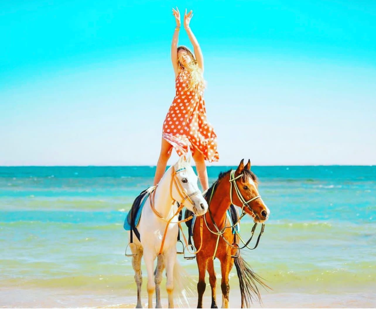 10Beach Horse Riding in Sharm El Sheikh