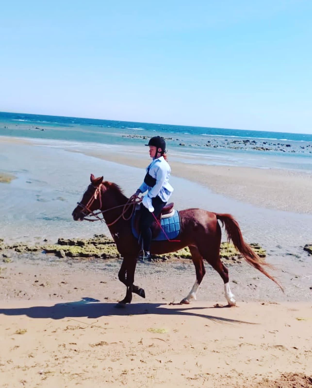 11Beach Horse Riding in Sharm El Sheikh