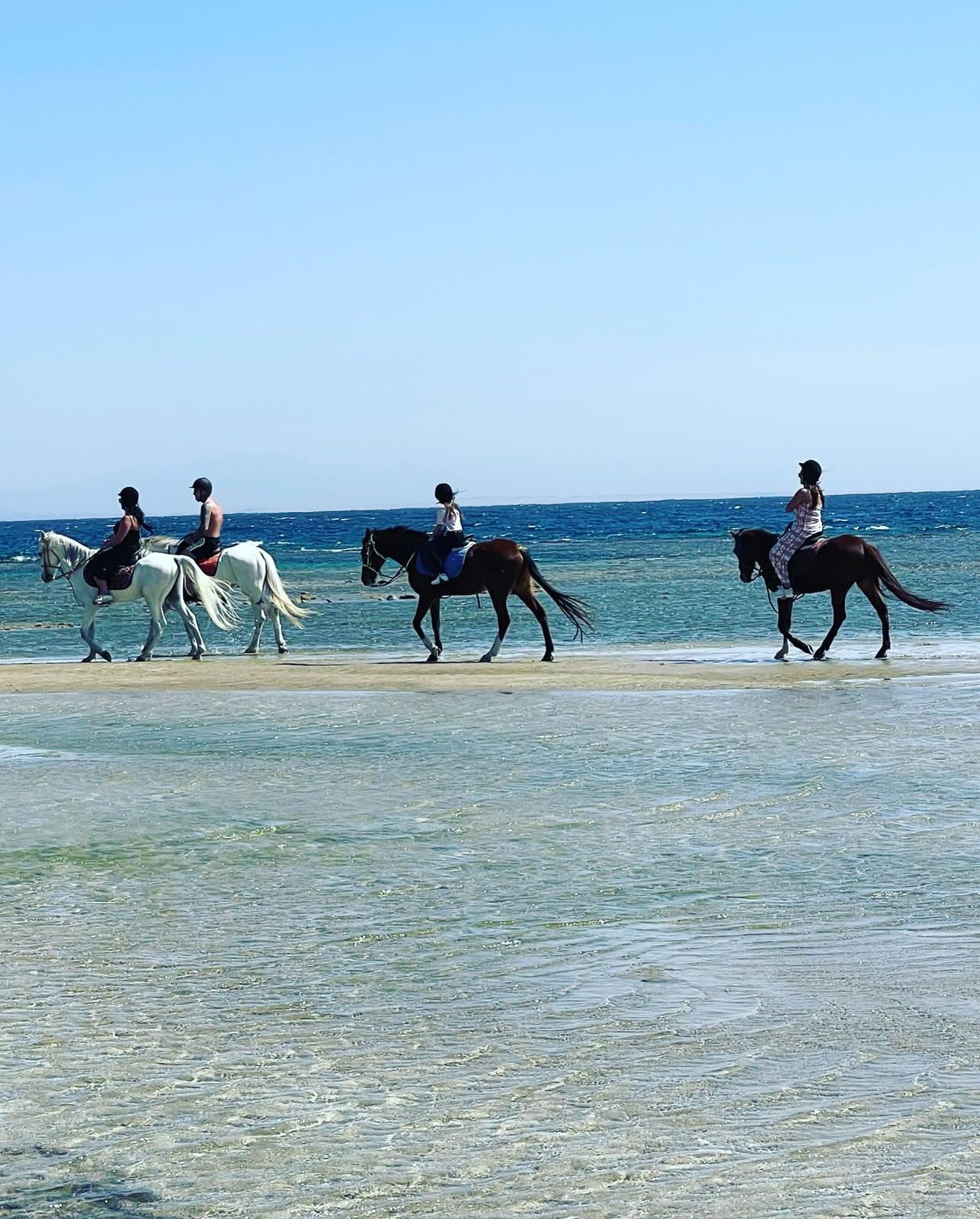 12Beach Horse Riding in Sharm El Sheikh