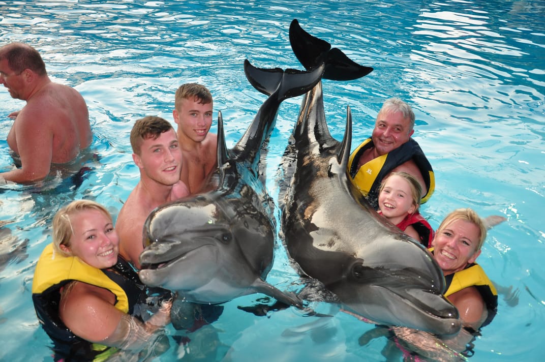 8Pływanie z delfinami w Szarm el-Szejk