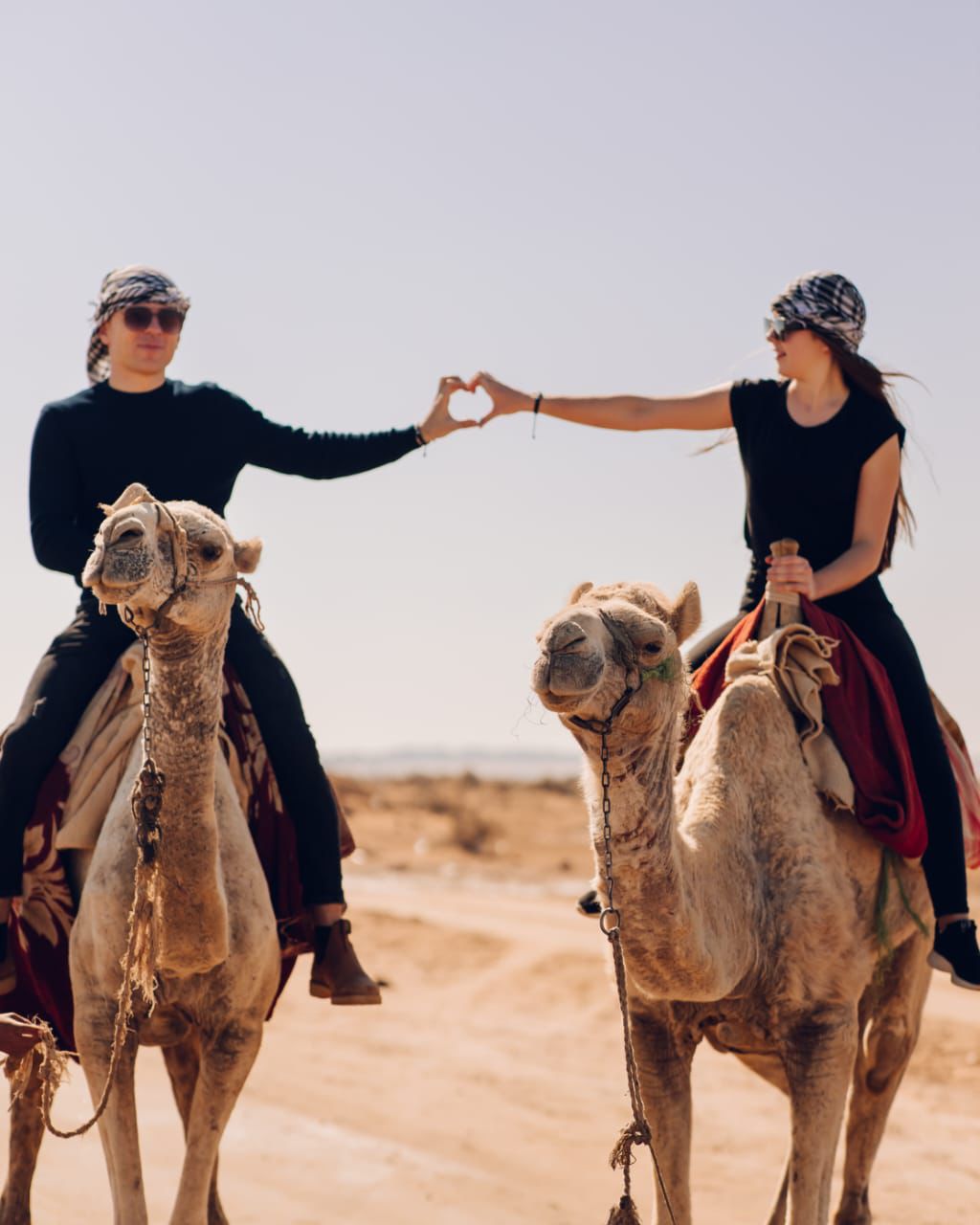 13Przejażdżka na wielbłądzie i herbata beduińska w Szarm el-Szejk