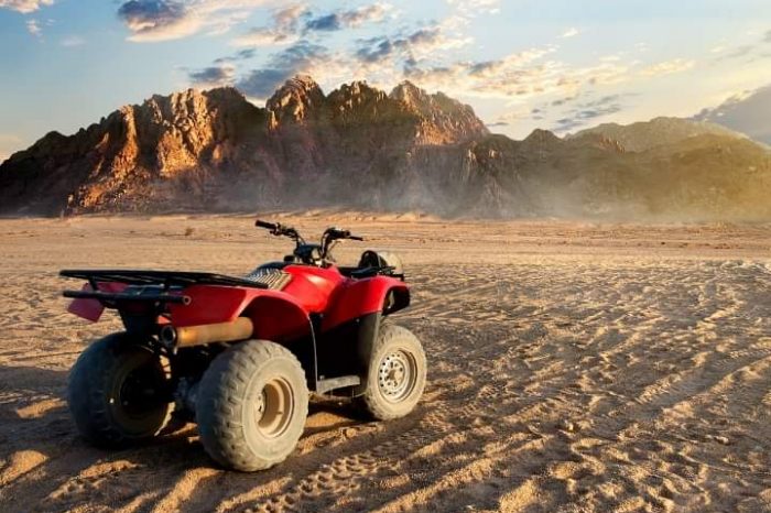 Квадроциклы индивидуально